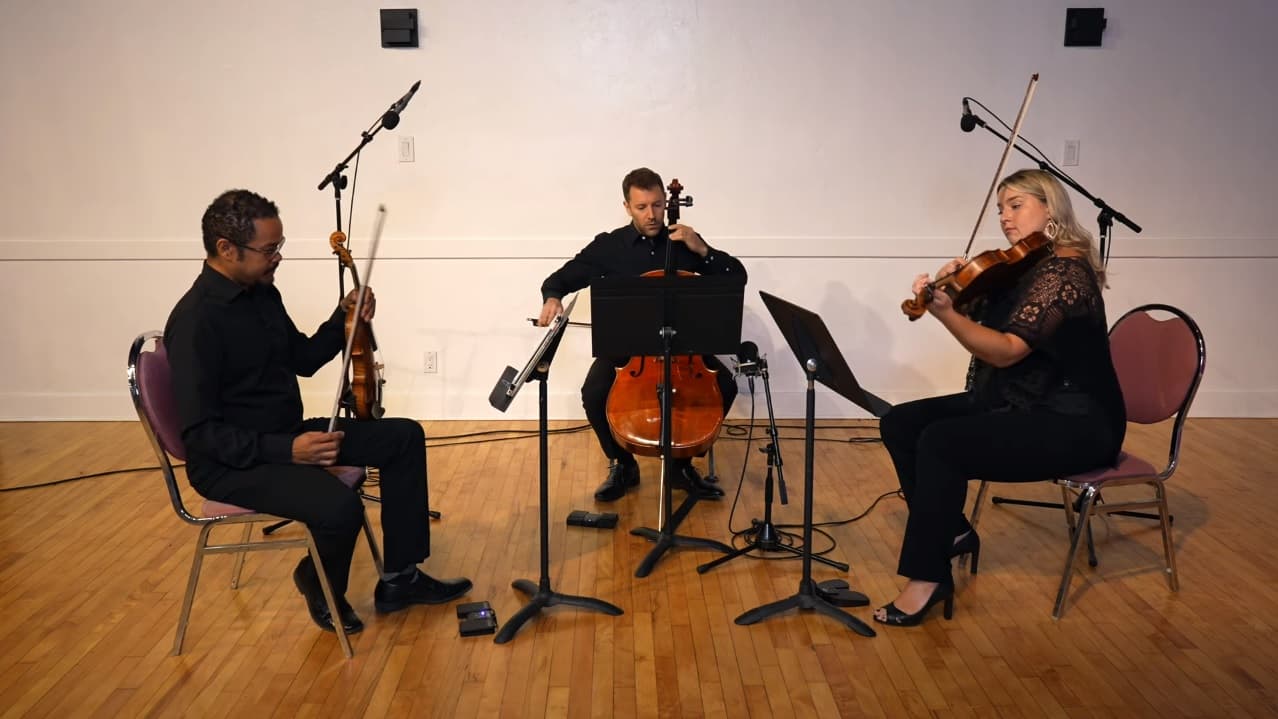 Canon in D Pachelbel (trio)